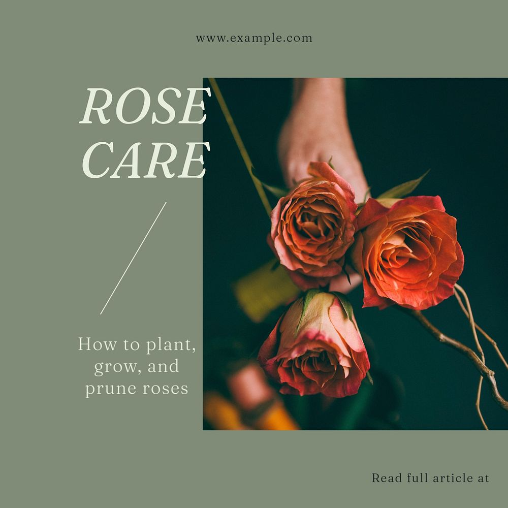 Rose care Instagram post template, editable text