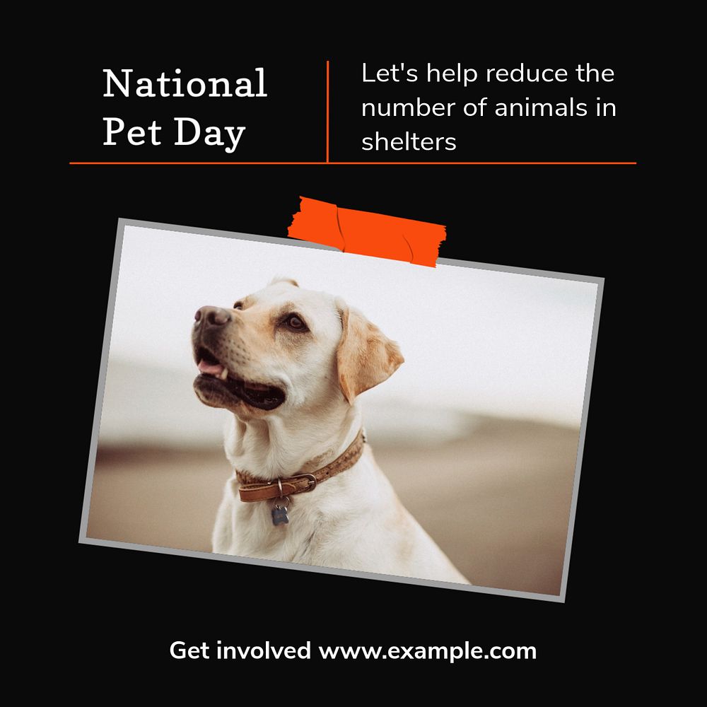 National pet day  Instagram post template, editable text