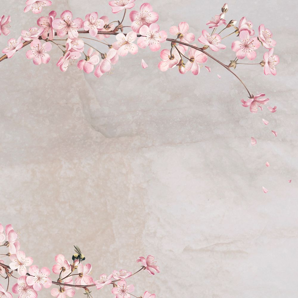 Sakura branch vintage aesthetic illustration, editable design