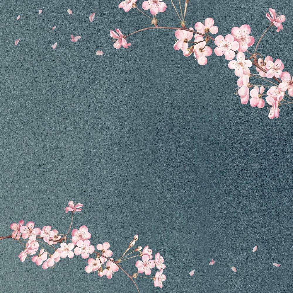 Cherry blossom branch vintage illustration, editable design