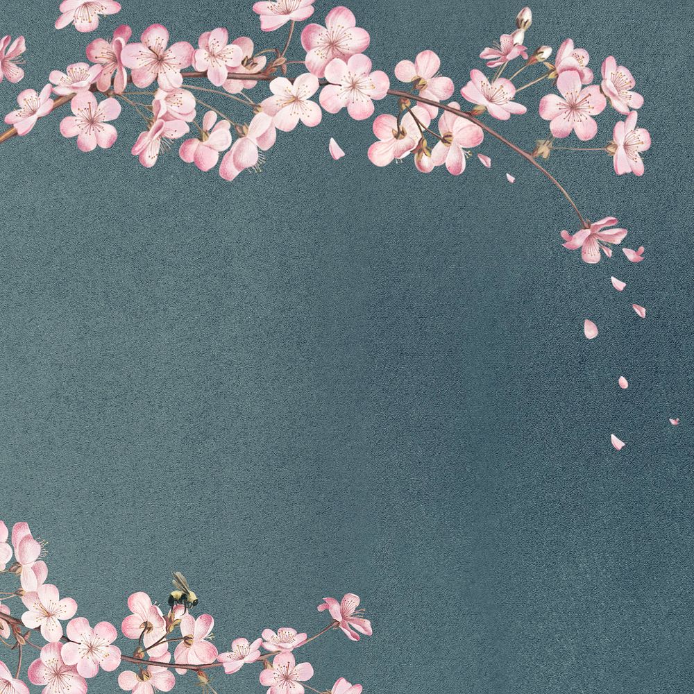 Cherry blossom vintage watercolor illustration, editable design