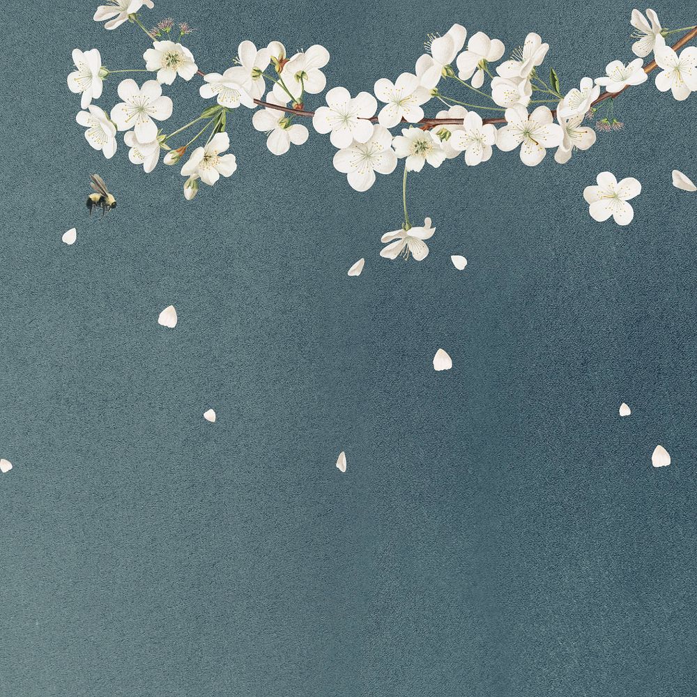 White flowers illustration, spring aesthetic, editable design