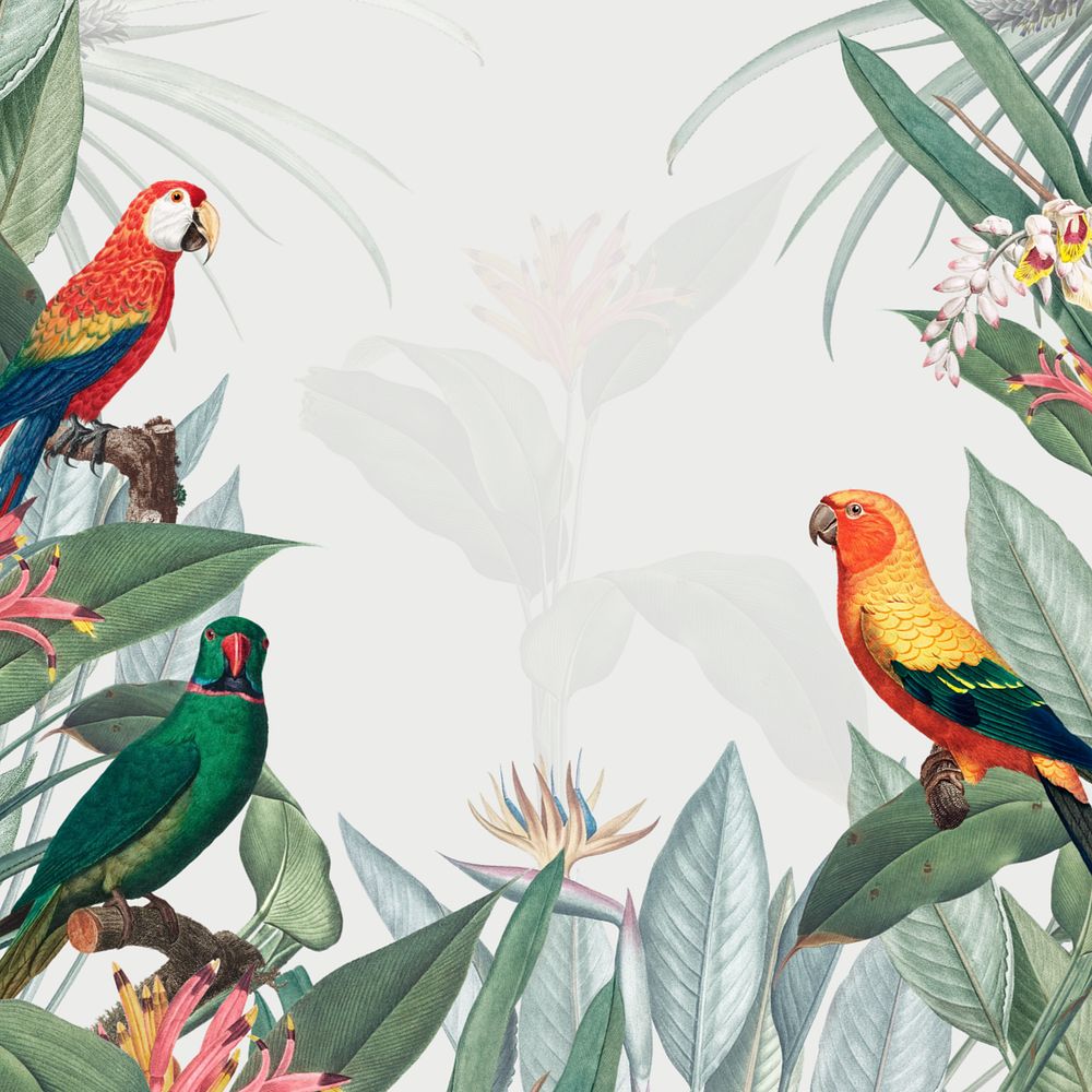 Colorful birds illustration, tropical aesthetic, editable design