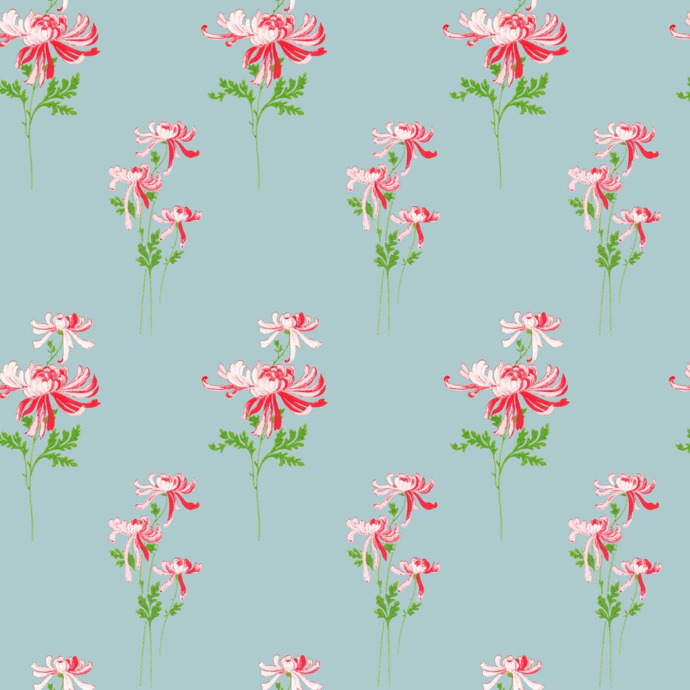 Pink chrysanthemum pattern, blue background