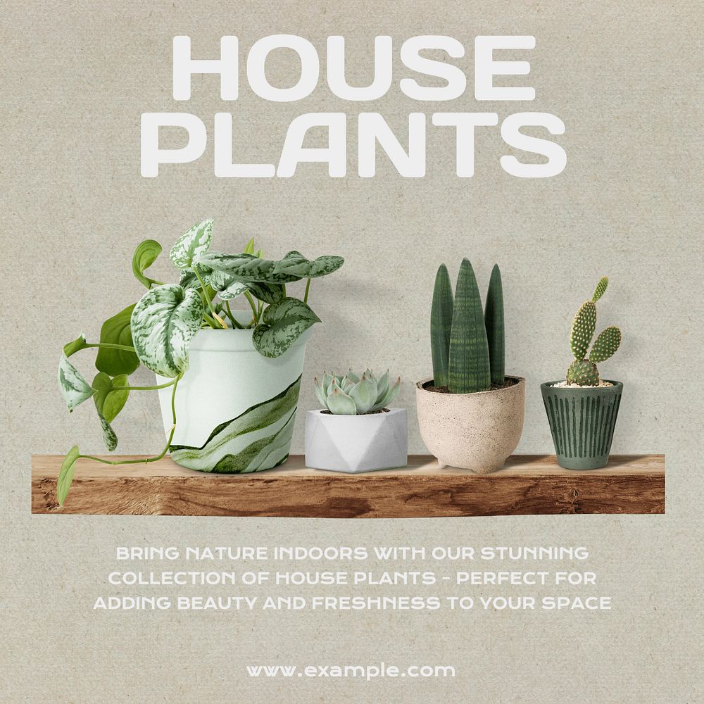 House plants Instagram post template, editable text