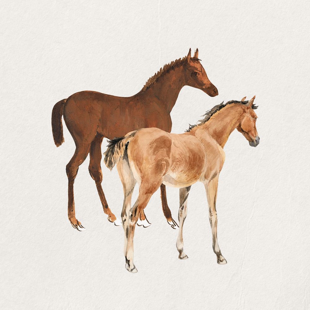 Watercolor horse foals, editable remix design