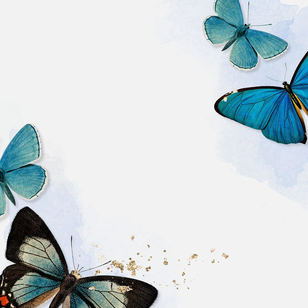 Blue butterfly border, watercolor background