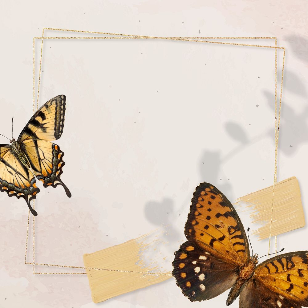 Aesthetic butterfly frame background