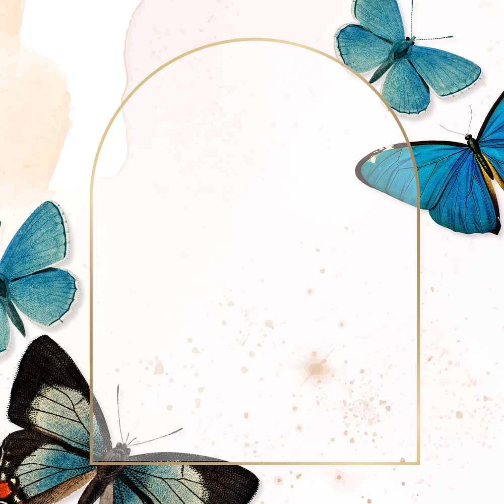 Aesthetic butterfly arch frame background