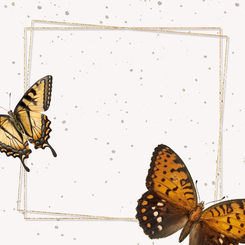 Glittered butterfly frame background