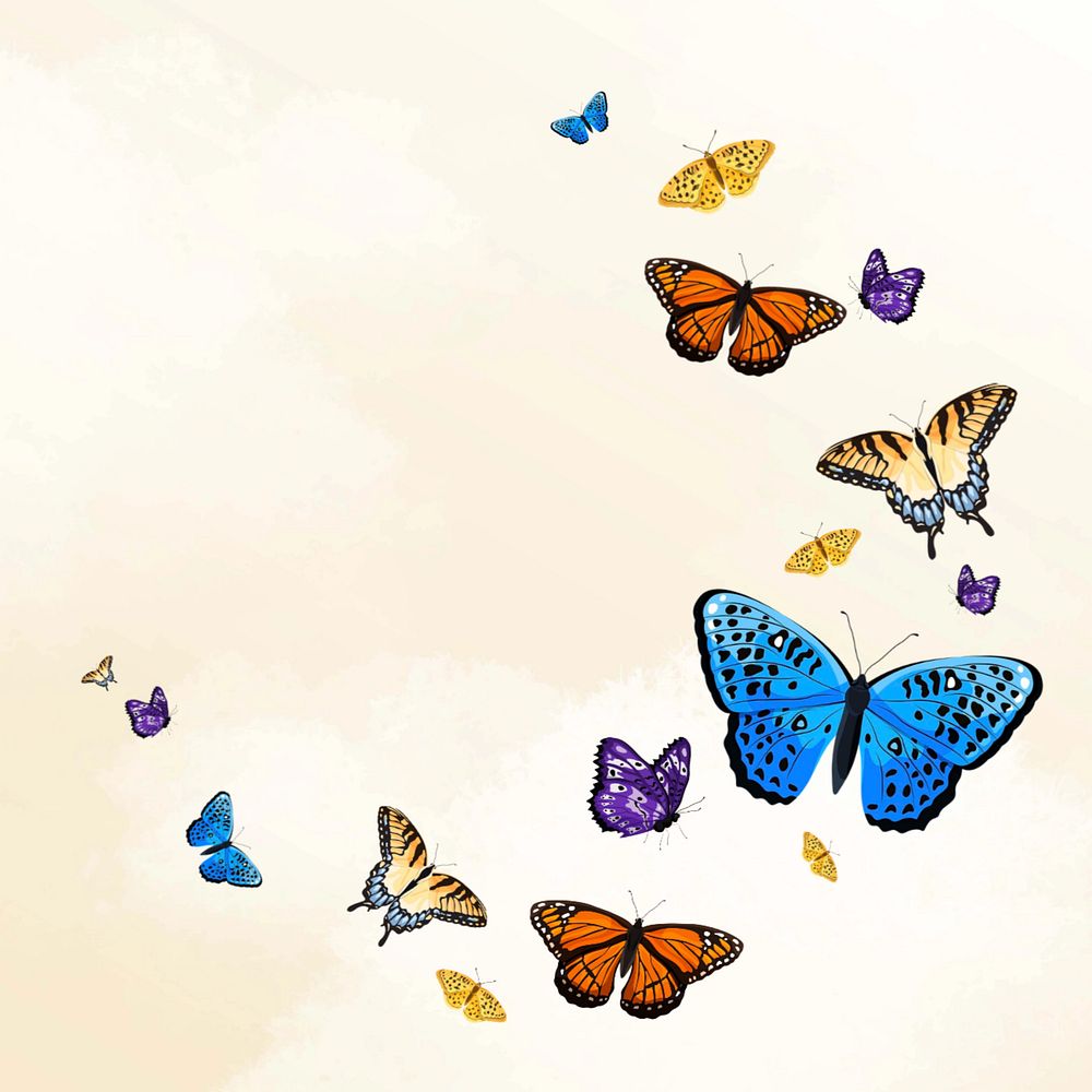 Editable butterfly semicircle frame illustration