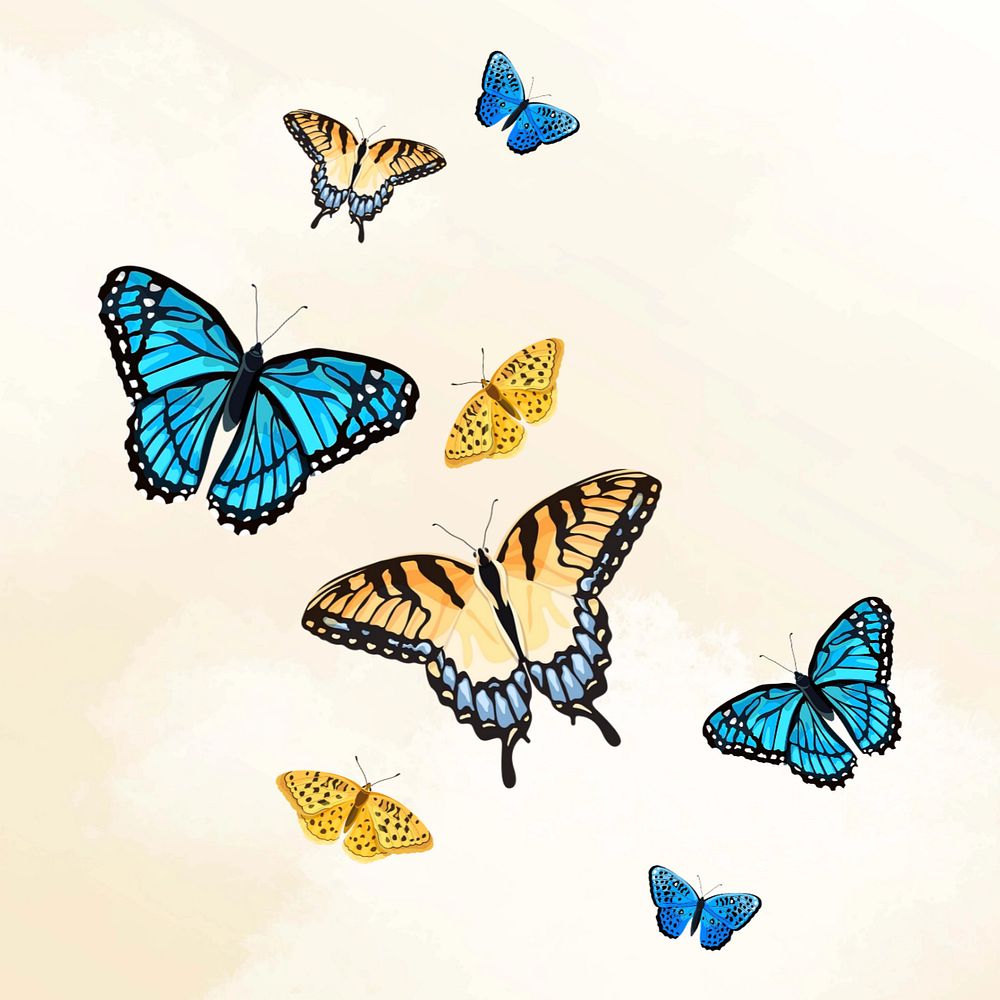 Editable yellow blue butterfly design