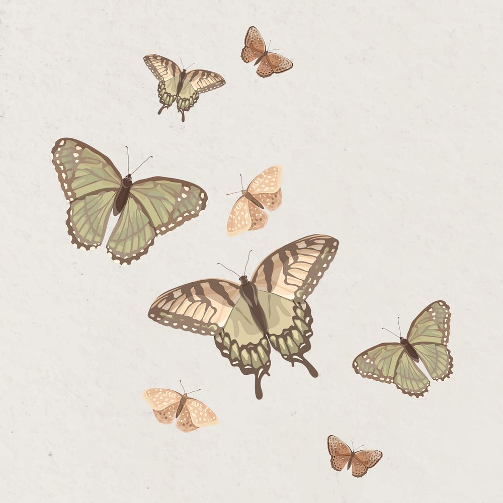 Editable butterfly nature illustration design