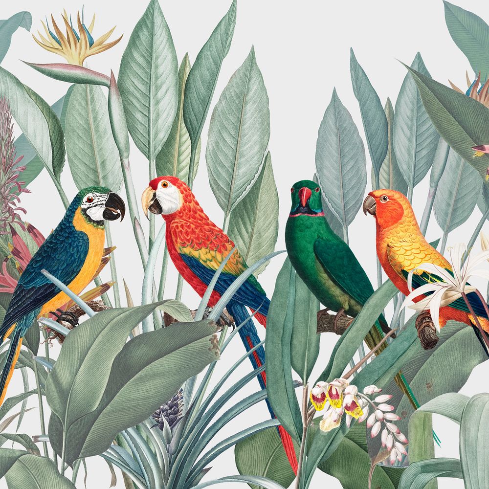 Colorful birds illustration, tropical aesthetic, editable design