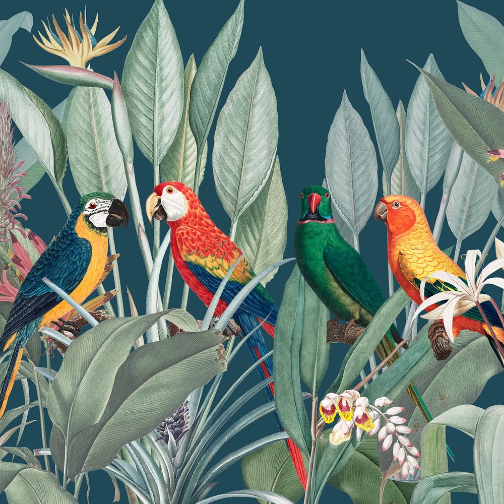 Colorful parrots illustration, tropical aesthetic, editable design