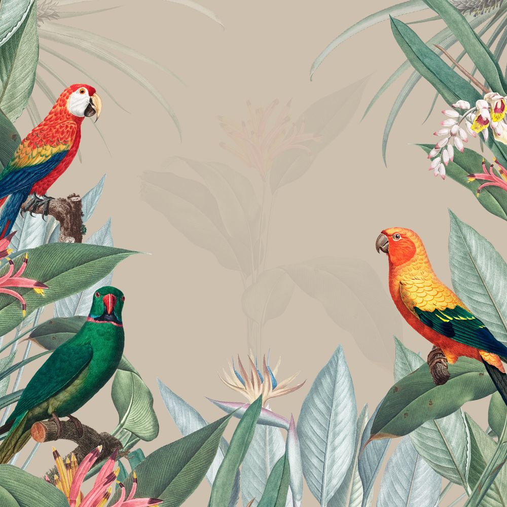 Colorful macaws illustration, tropical aesthetic, editable design