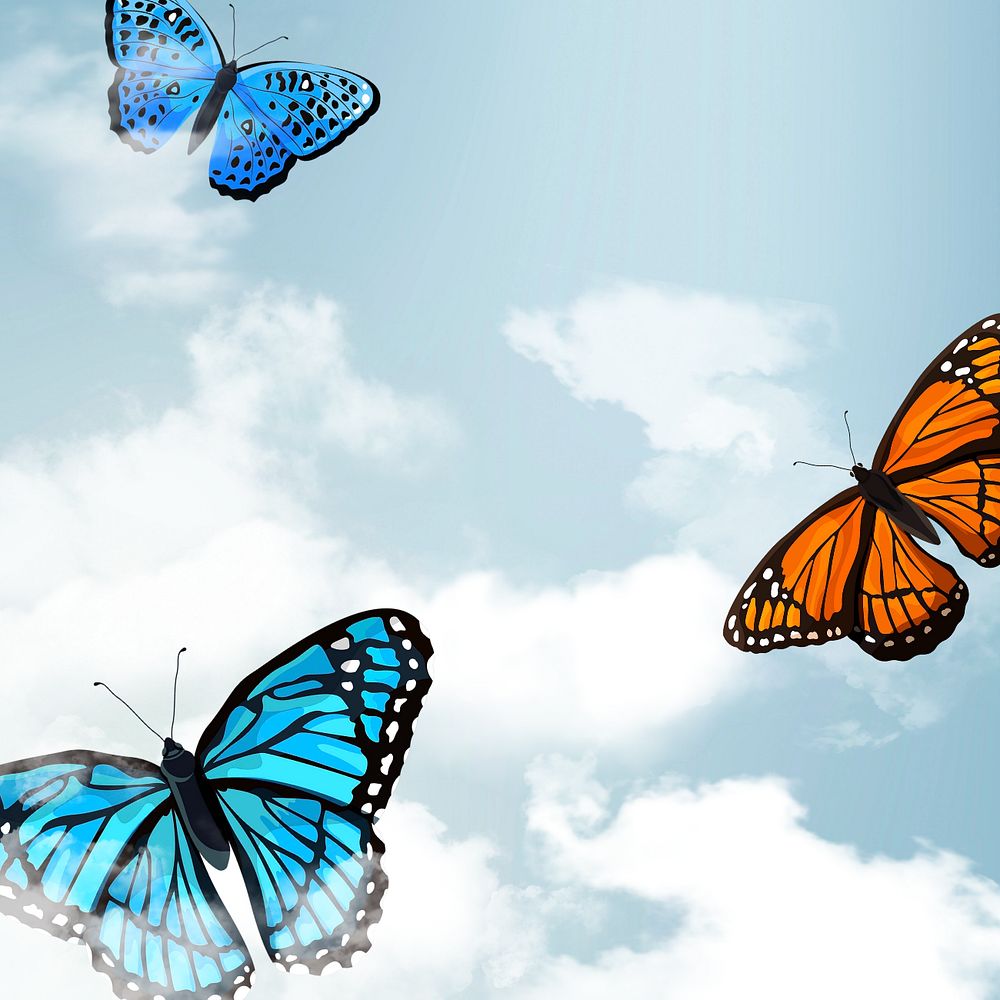 Editable butterfly sky background design