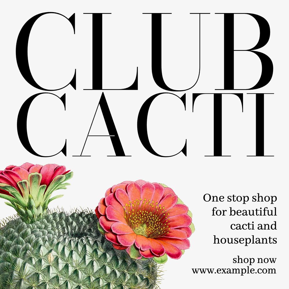 Club cacti Instagram post template, editable text