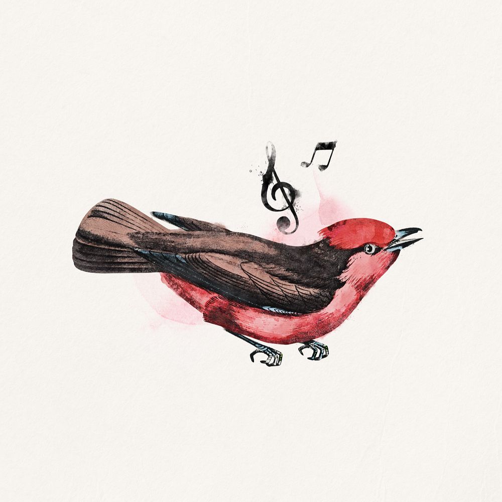 Editable watercolor singing bird, remix design