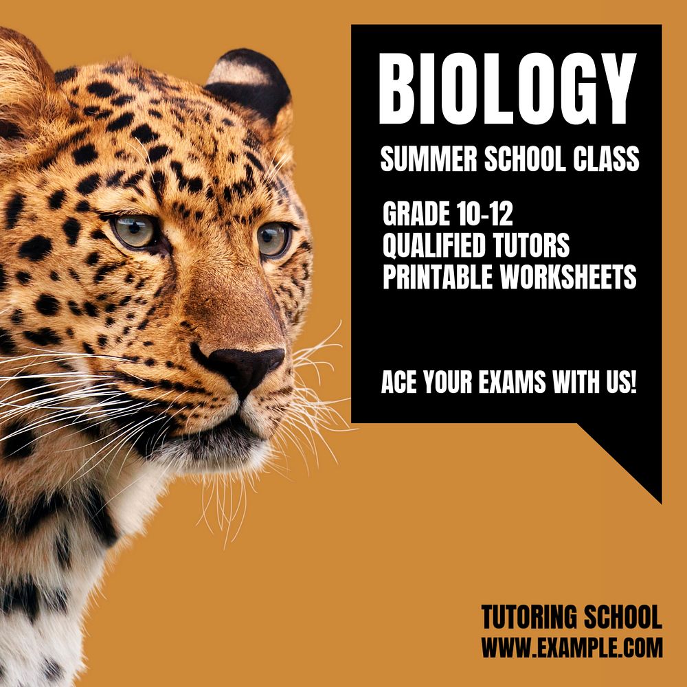 Summer school Instagram ad template, editable text