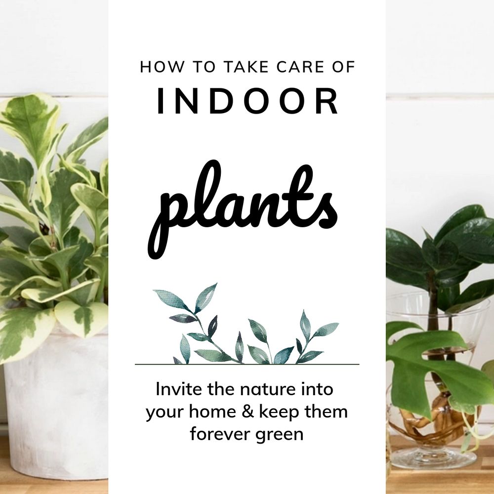 Plants guide Instagram post template, editable design