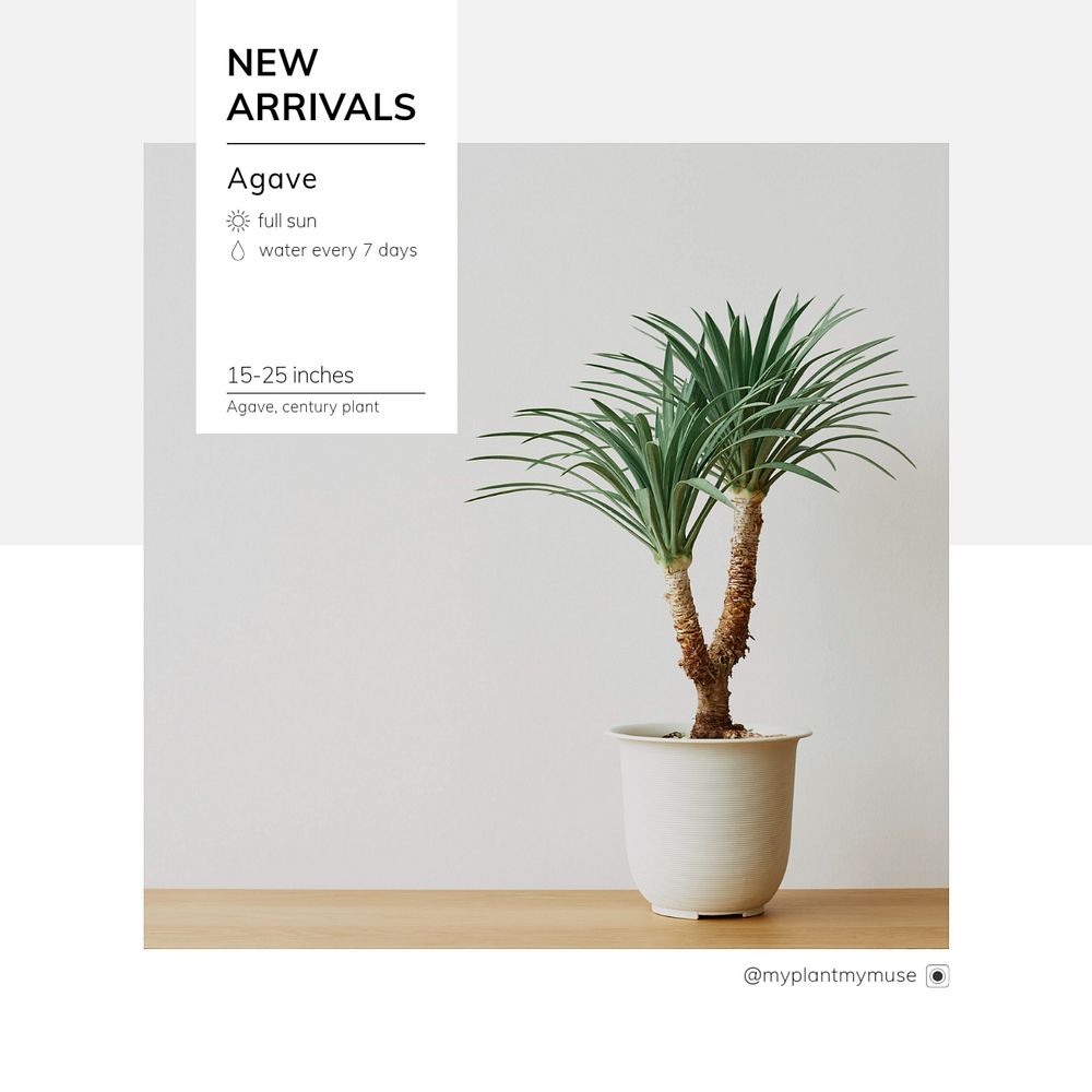 New arrivals Facebook post template, editable design