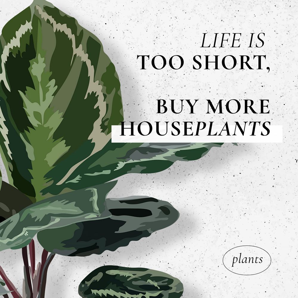 Houseplant lover Instagram post template, customizable design