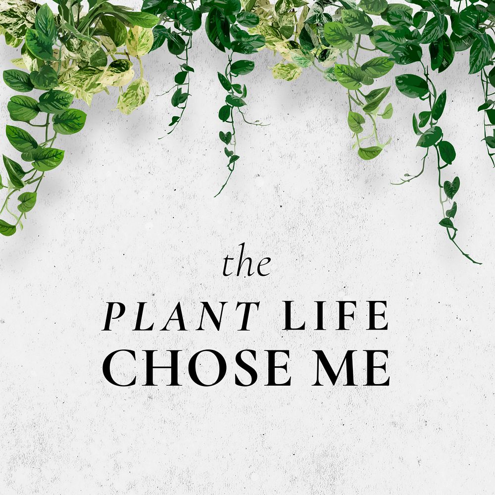 Plant quote Instagram post template, editable design