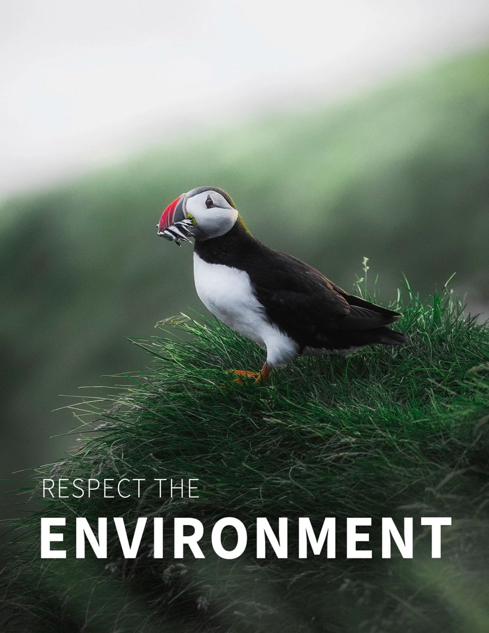 Respect the environment flyer template, customizable design with puffin in nature