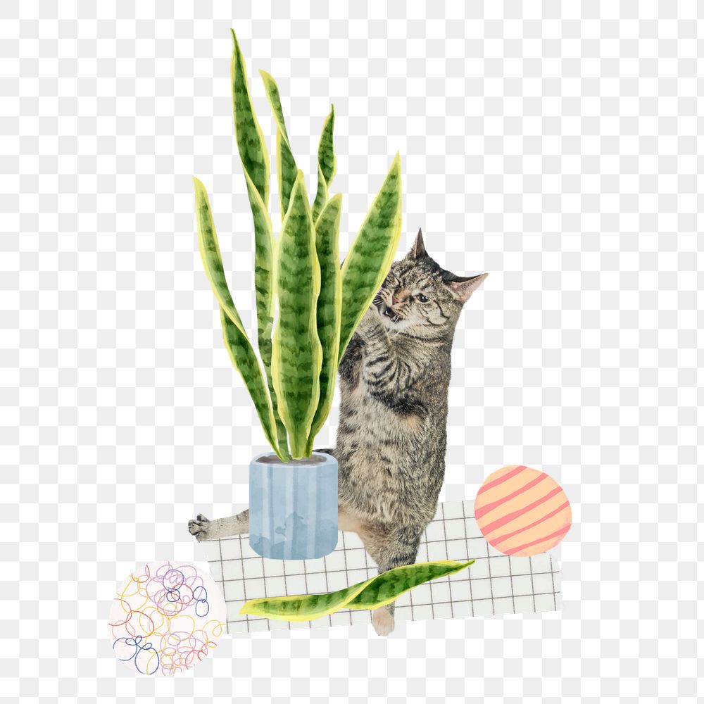 Cat ruining houseplant collage element