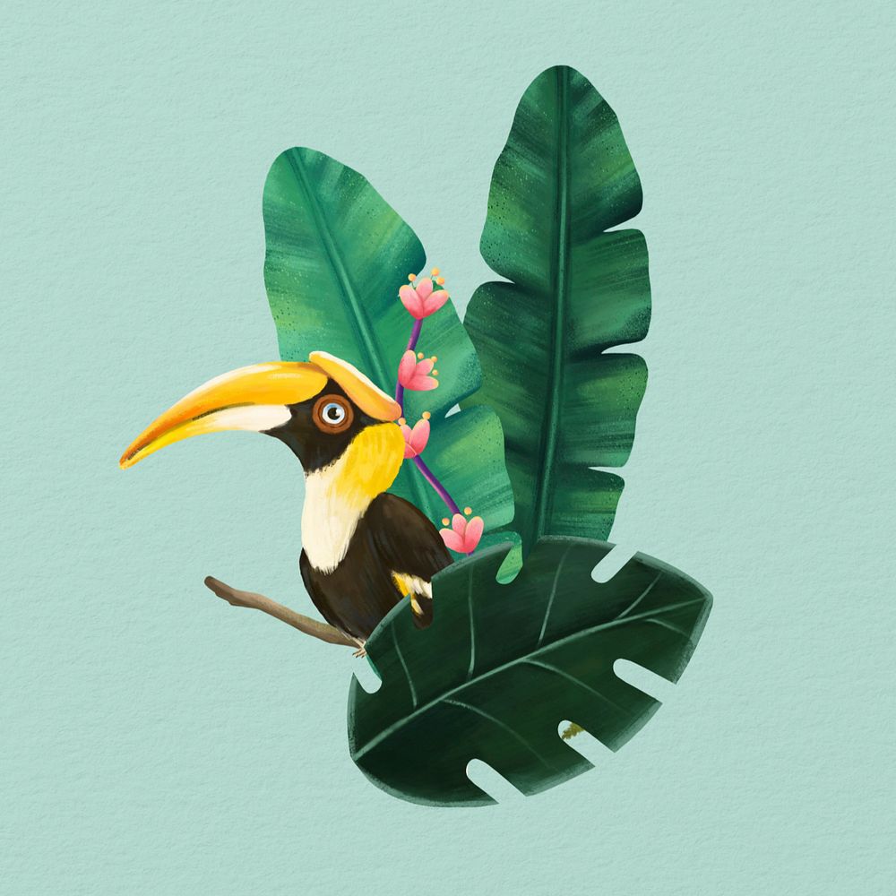 Editable hornbill, hand-drawn wild bird