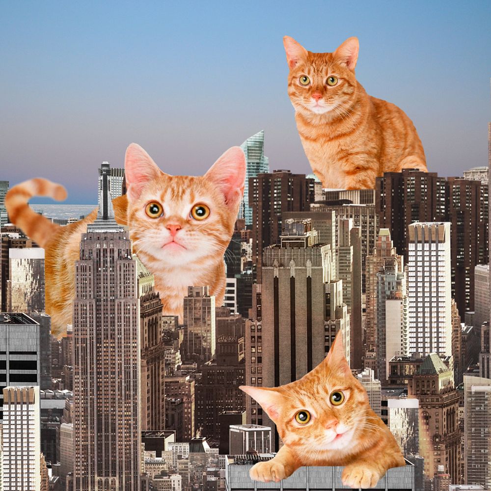 Giant cats background, surreal buildings remix