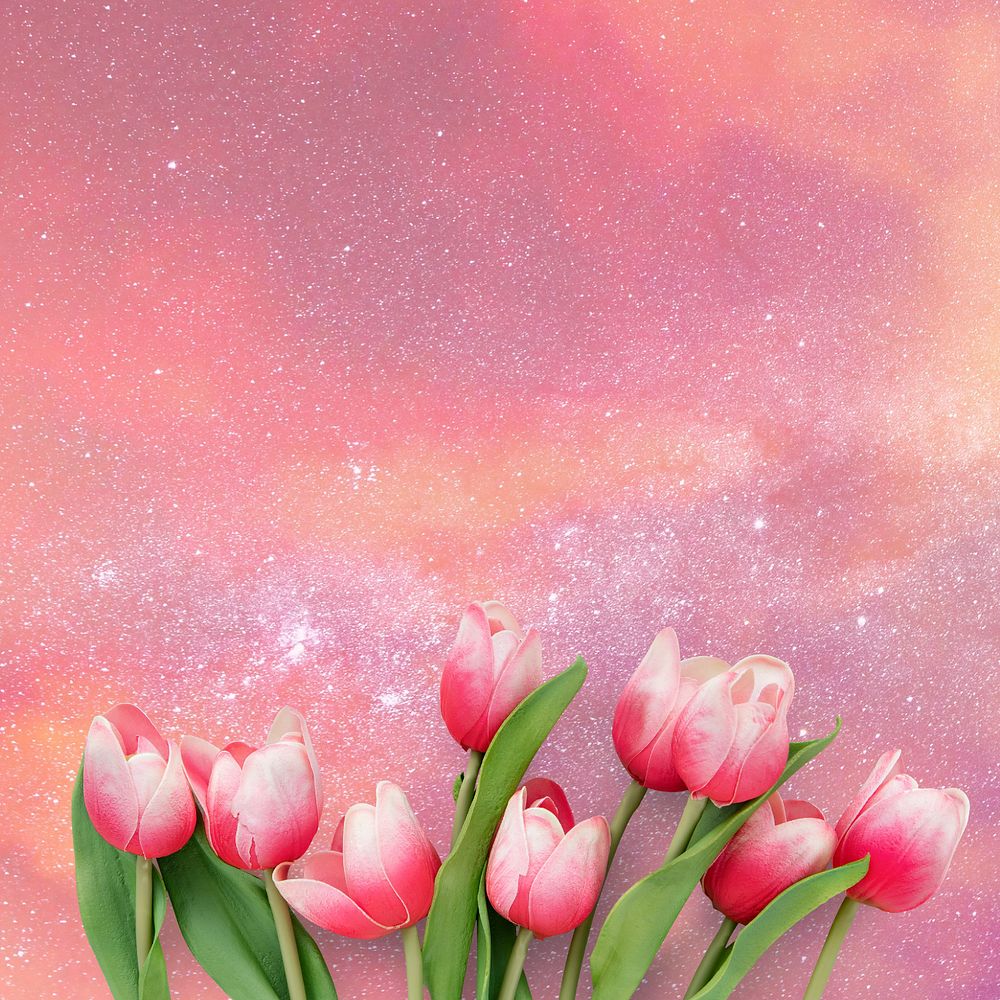 Pink galaxy sky background, tulip flowers border