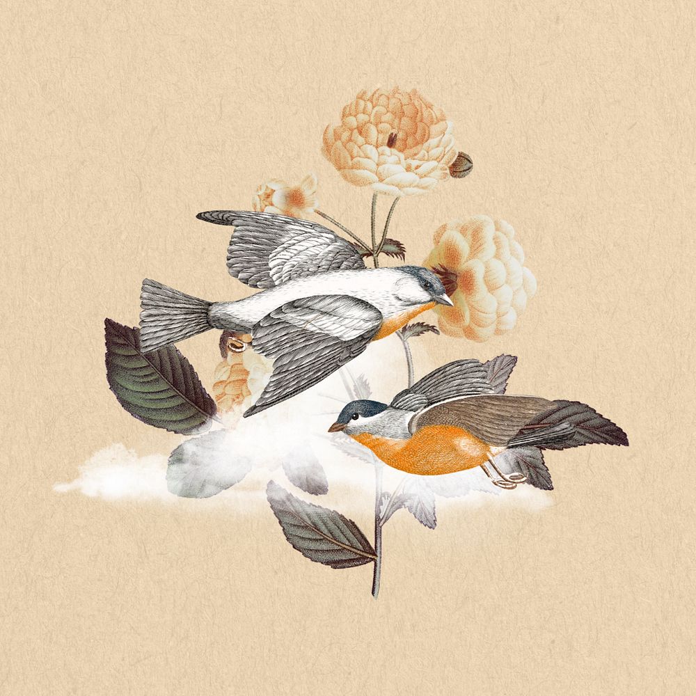 Vintage bird background, beige animal remix