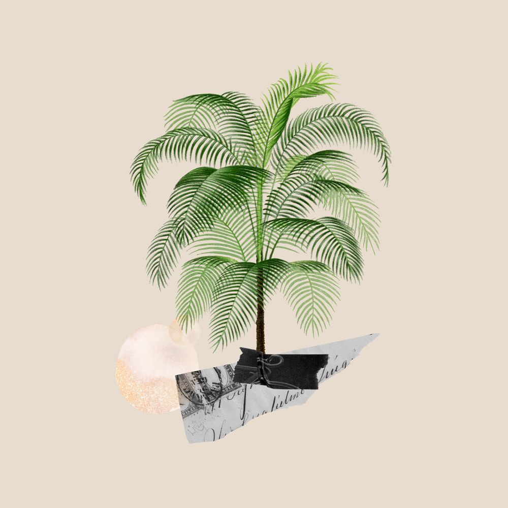 Aesthetic tropical tree background