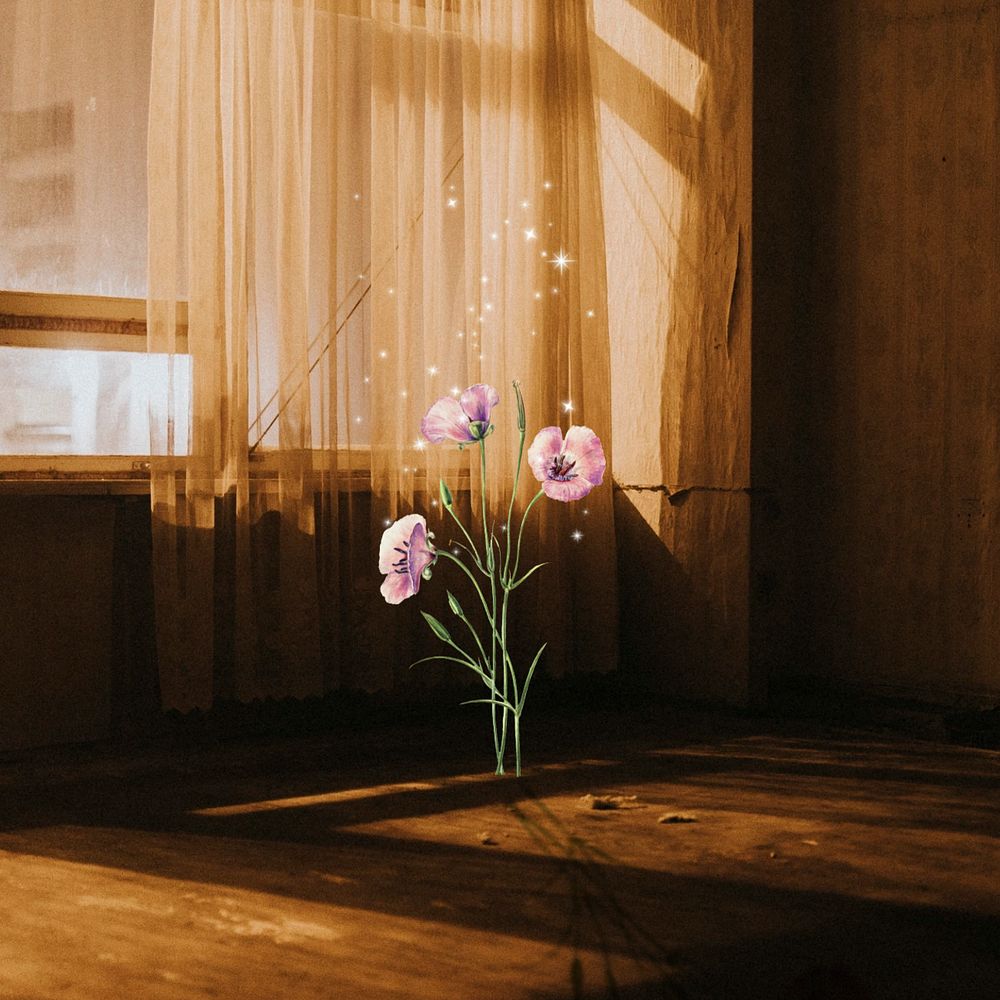 Golden hour flower aesthetic background, wooden room