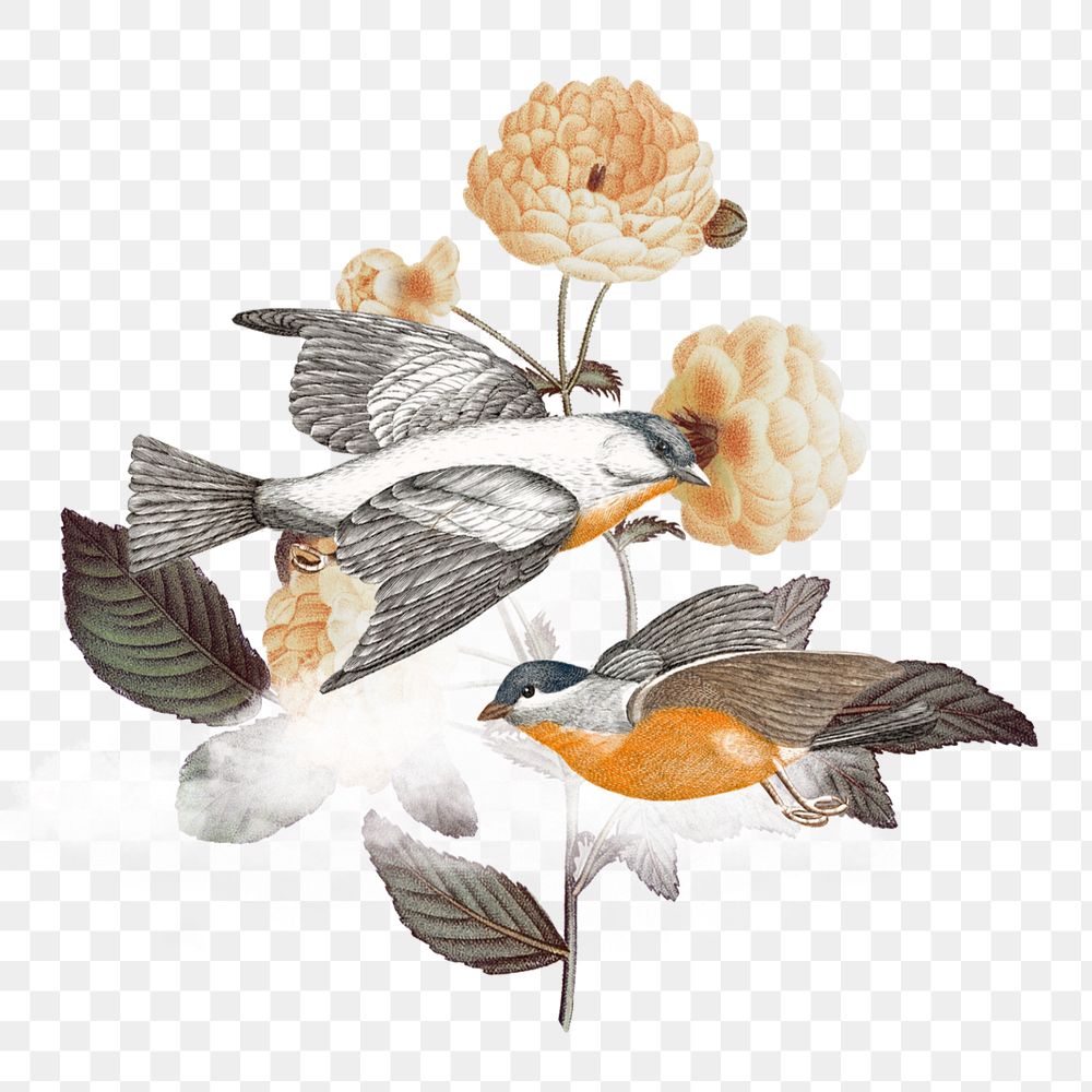 Vintage floral birds, botanical collage element