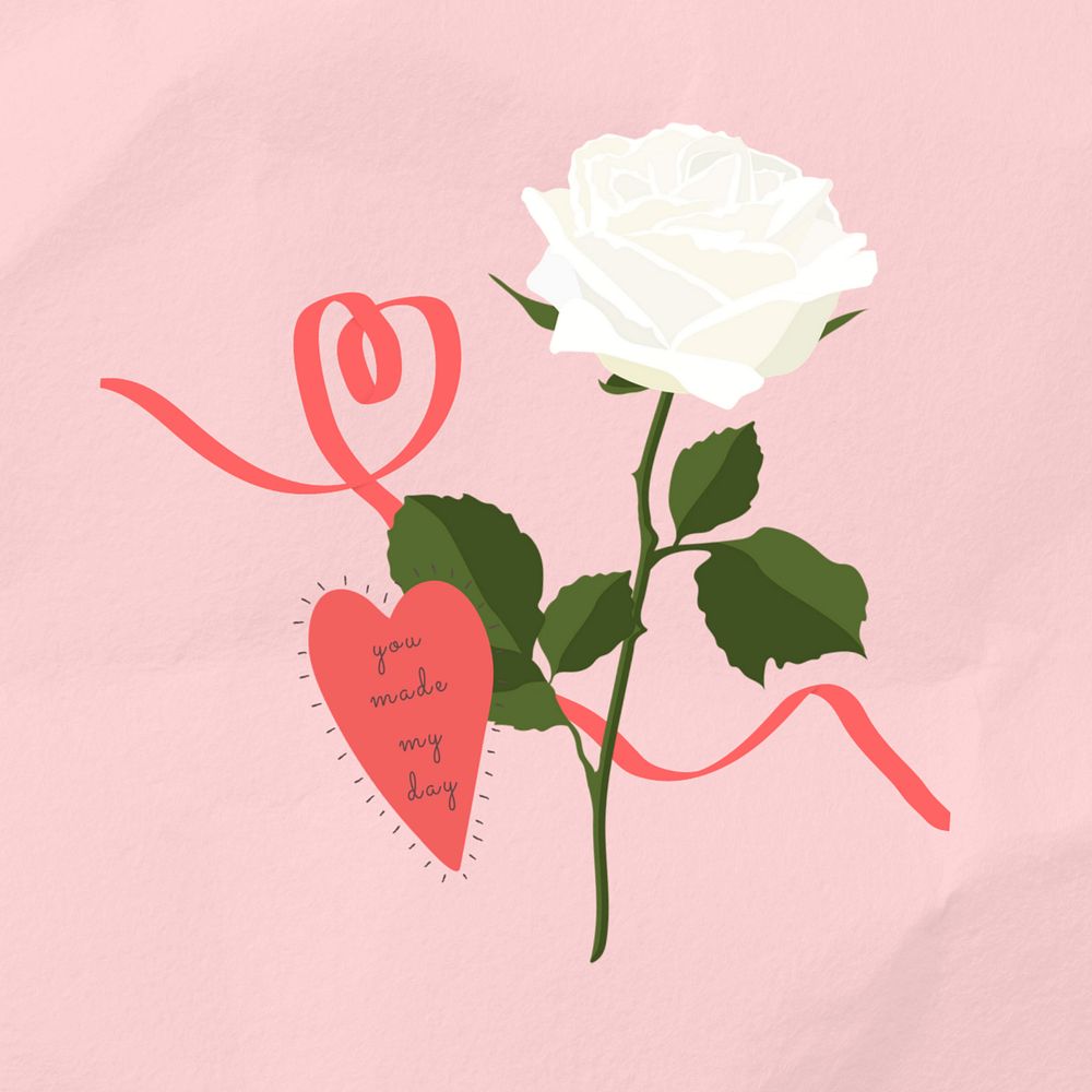 Valentine's white rose, flower graphic, editable design