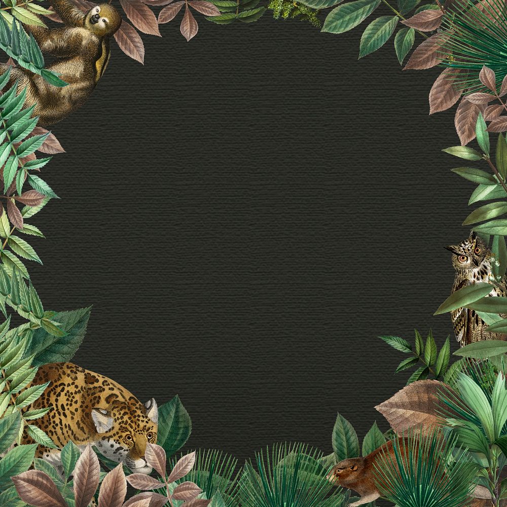 Exotic jungle frame background, editable design