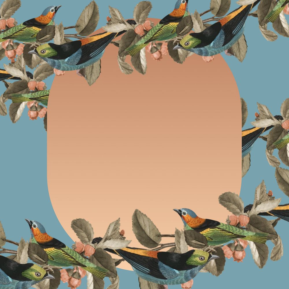 Exotic bird frame background, editable design