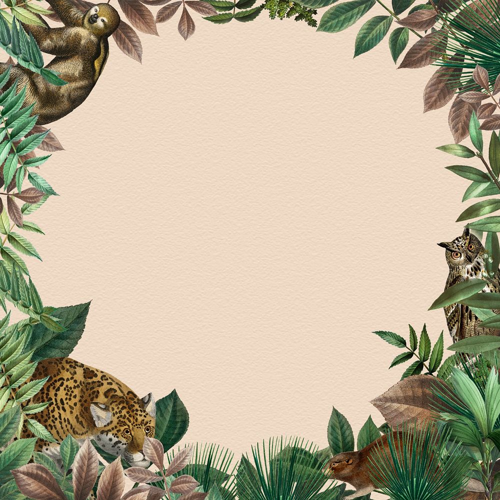 Exotic jungle frame background, editable design