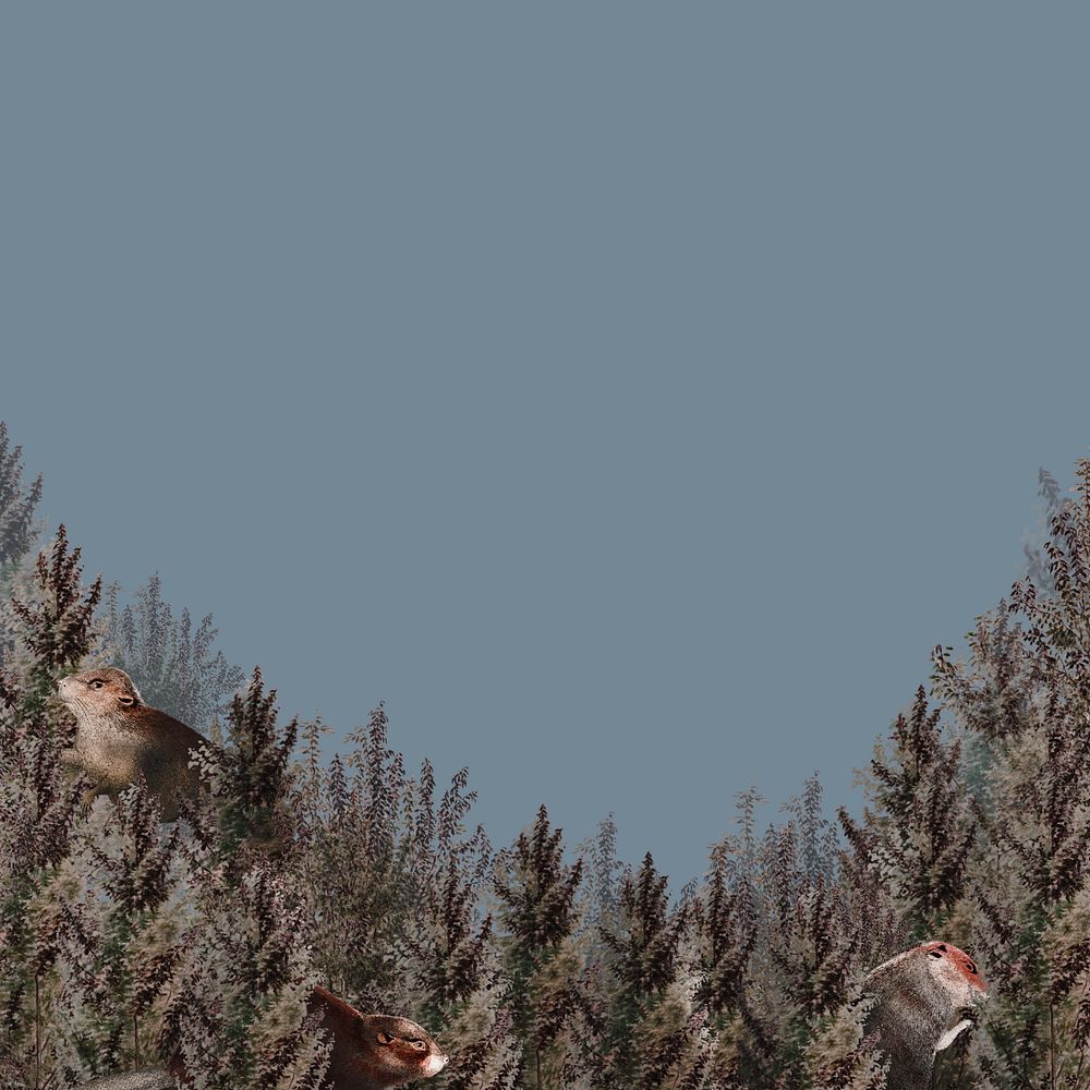 Vintage pine forest background, editable design