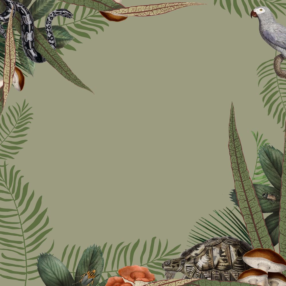 Exotic animal frame background, editable design