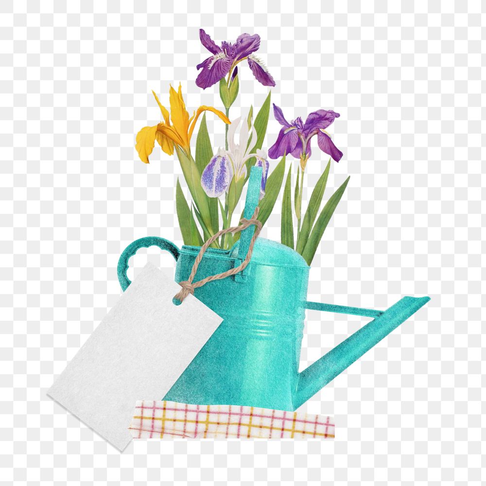 Iris flowers in teal watering can sticker, editable Spring collage element remix design