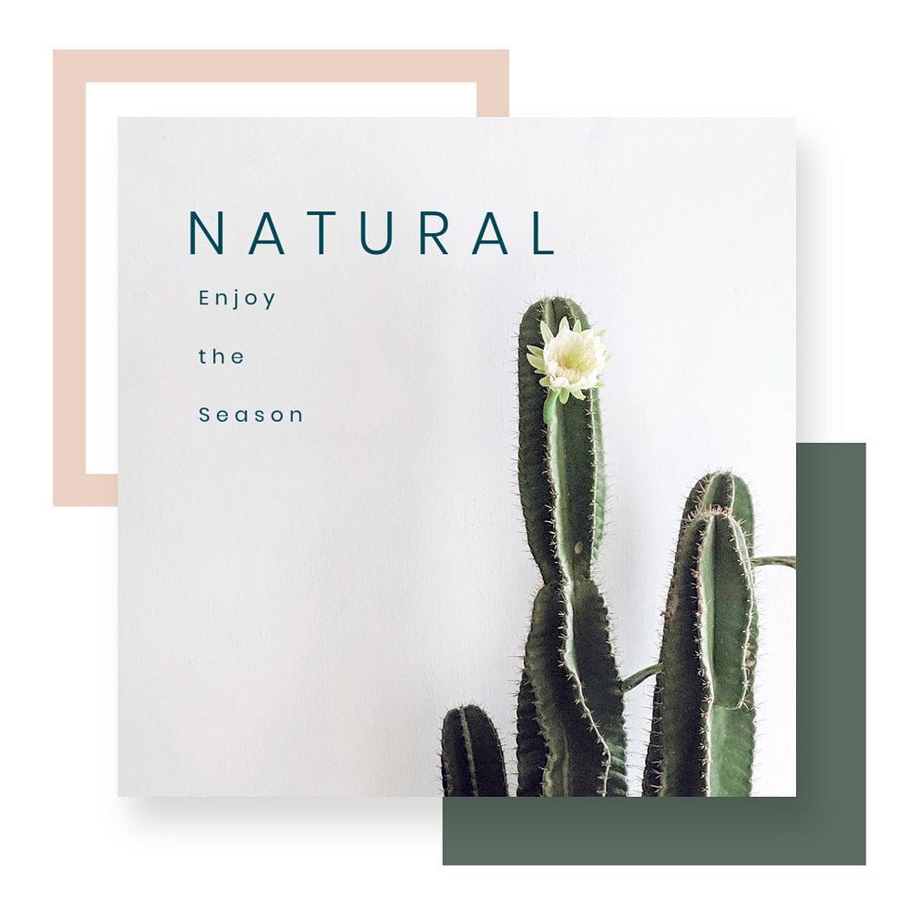 Cactus Instagram post template, editable design