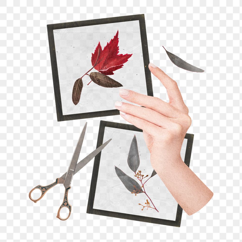 Editable Autumn element, leaf picture frames design