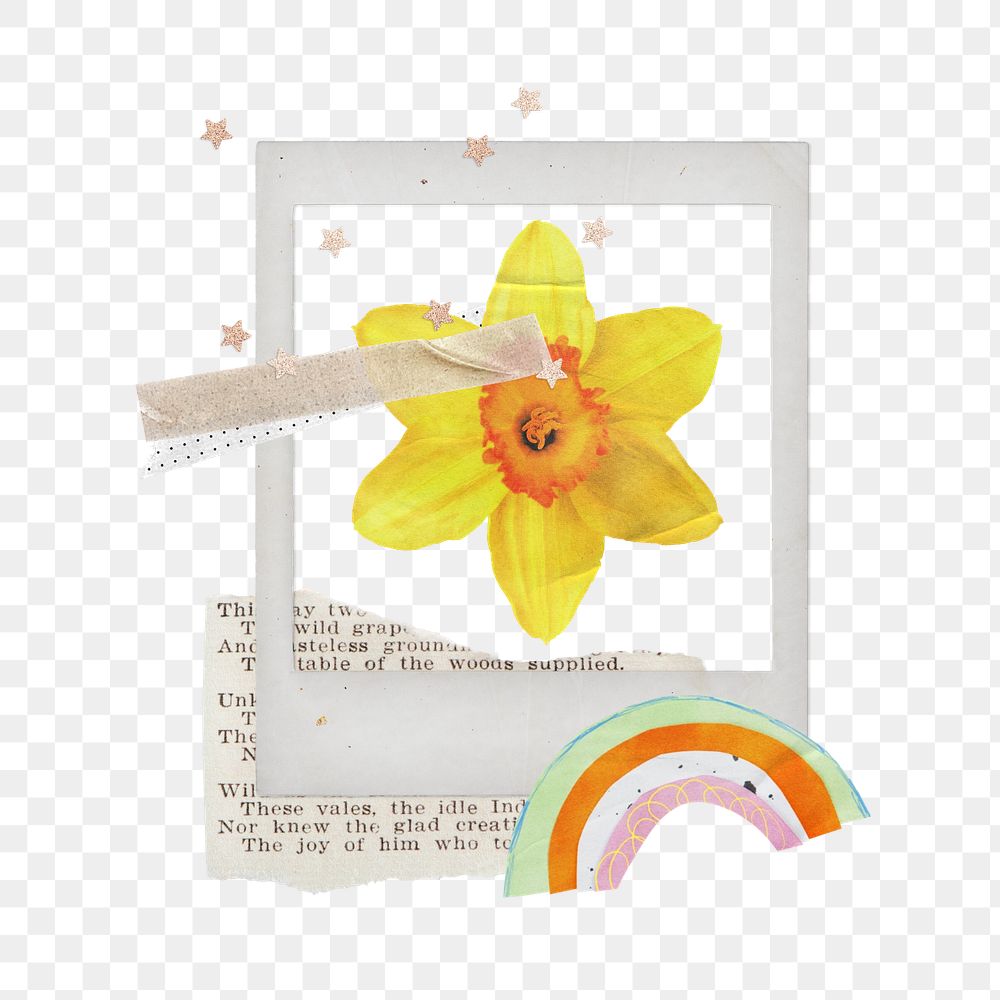 Editable Spring instant picture frame sticker, daffodil collage element remix design