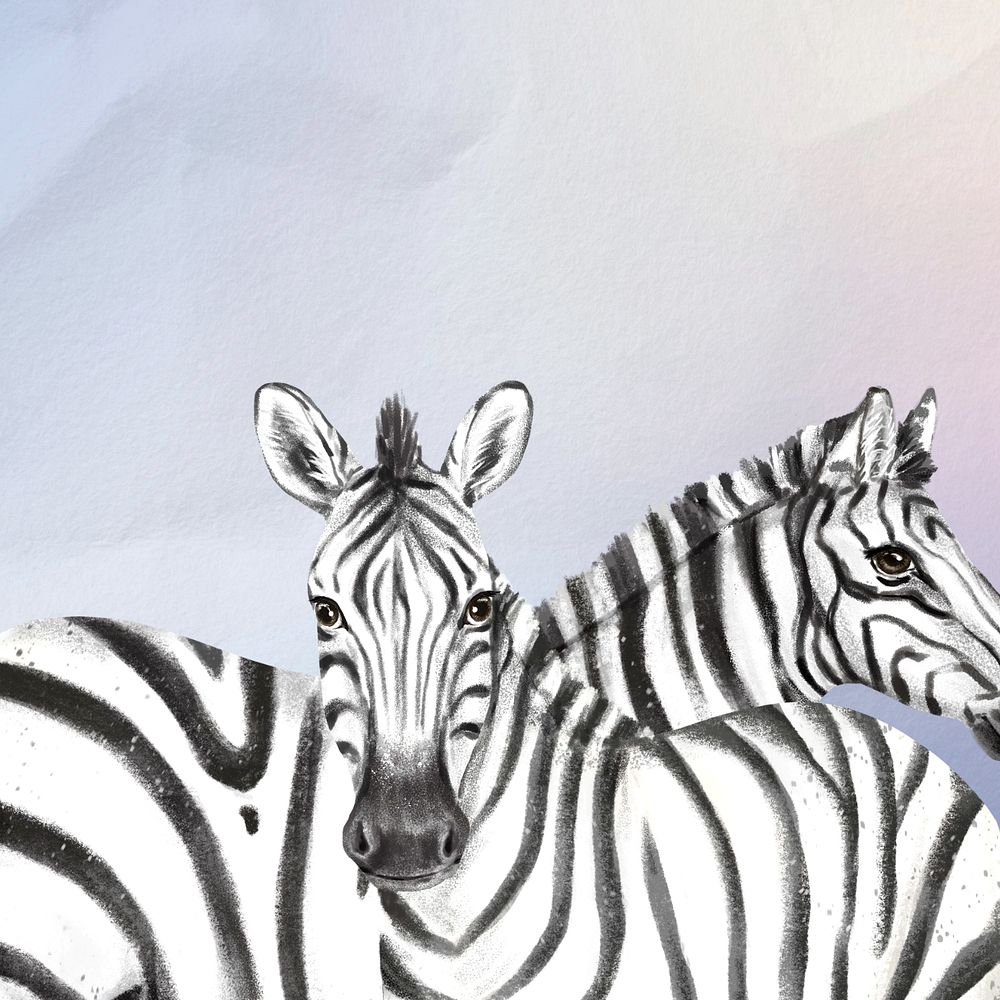 Zebra wildlife background paper texture design