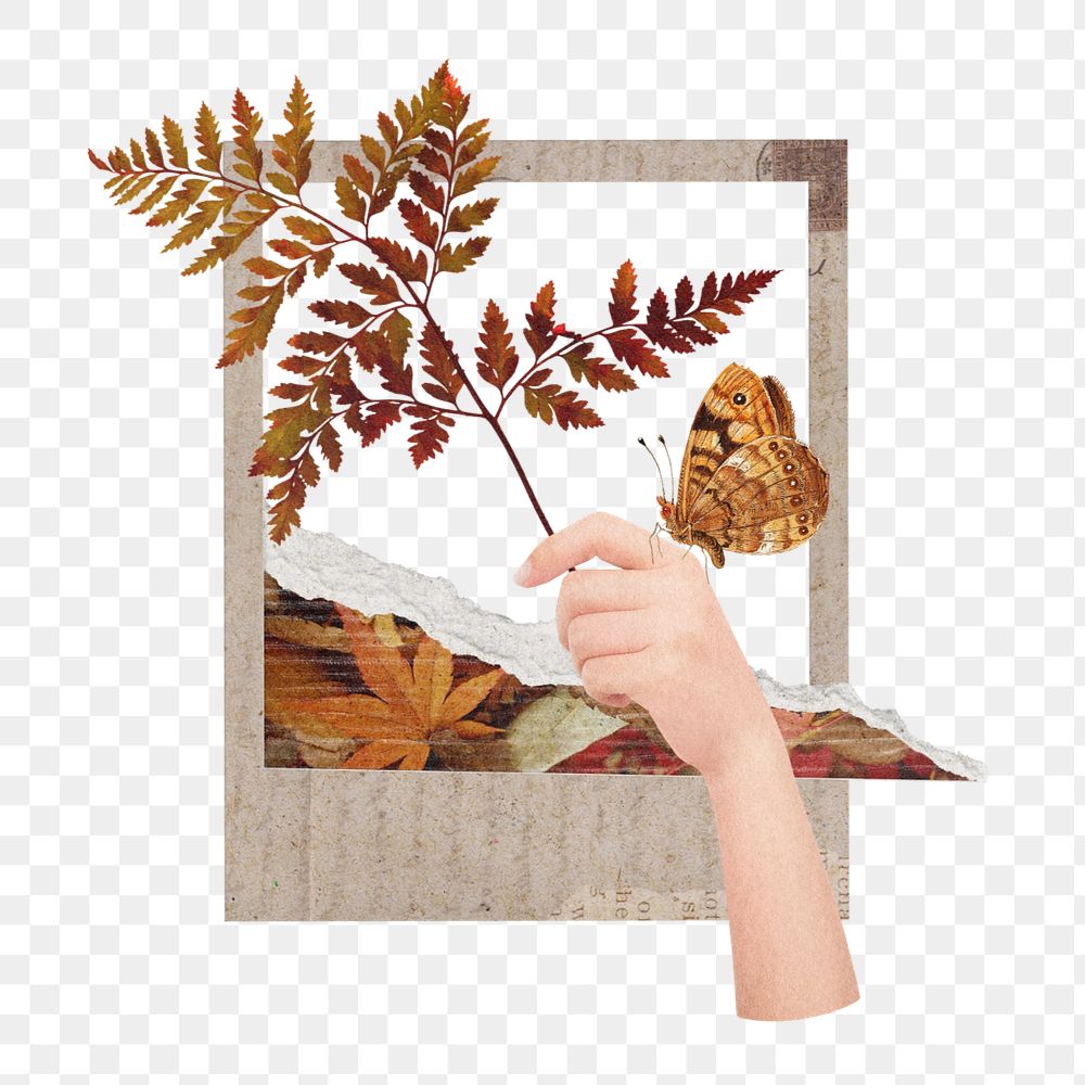 Autumn instant photo frame element, editable brown leaves design