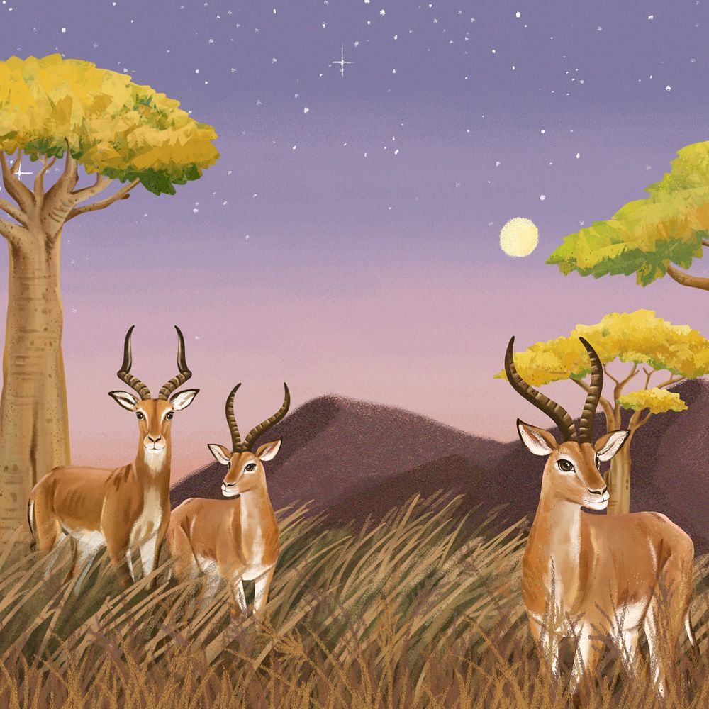 Night safari background, drawing design